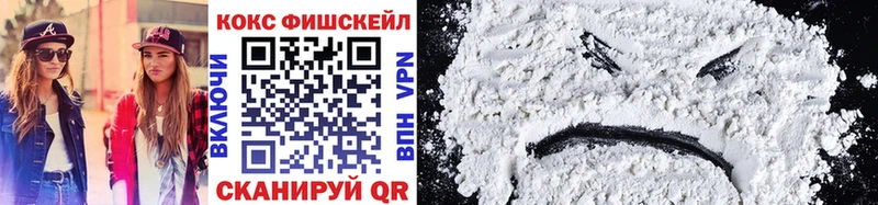 COCAIN Fish Scale  Купить закладки  Джанкой 