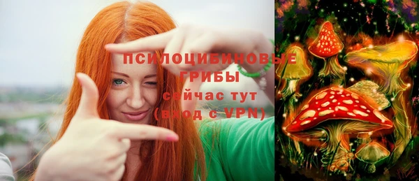 мескалин Алексин